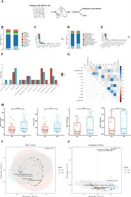 Immune response plays a role in Mycoplasma pneumoniae pneumonia